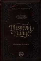 Mesnevi i Nuriye diyanet baskısı_1