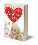 Hz. Aişenin İzinde
